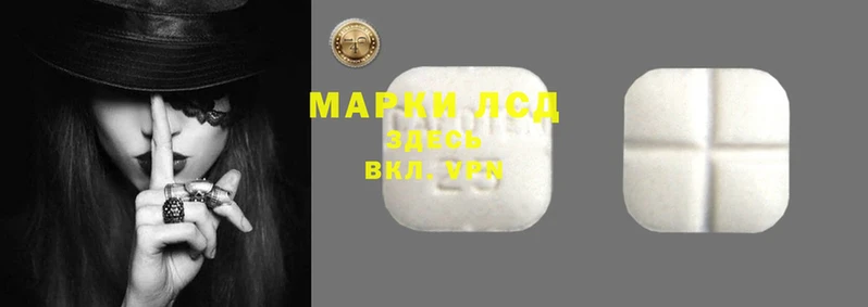 спиды Абаза