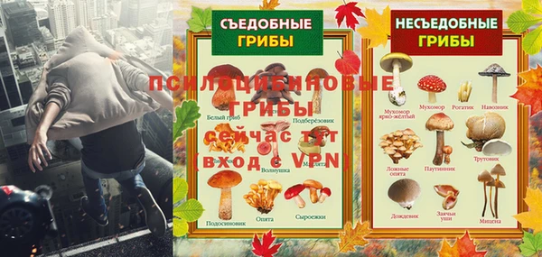 спиды Абаза
